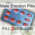 Male Erection Pills 06